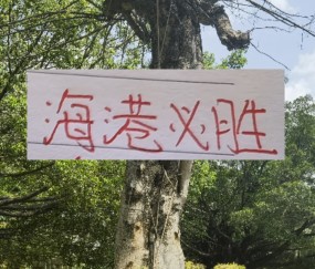 开云主页-前有奇塔 现有奥斯卡 海港旧将也喜欢度假途径母队